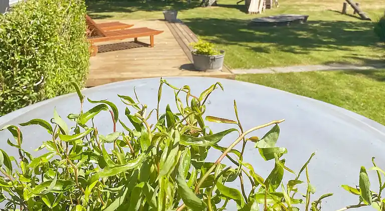 Sommerhus ved Helberskov Strand