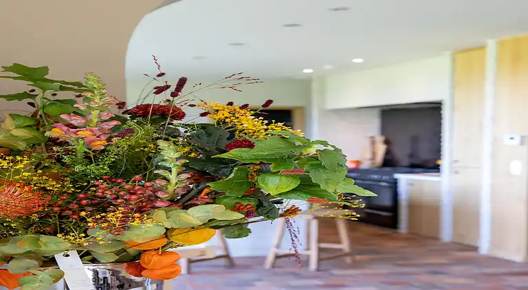 Ferienhaus in Sint-Jacobskapelle