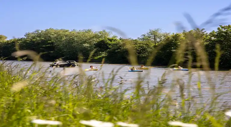 Ferienhaus in Sint-Jacobskapelle