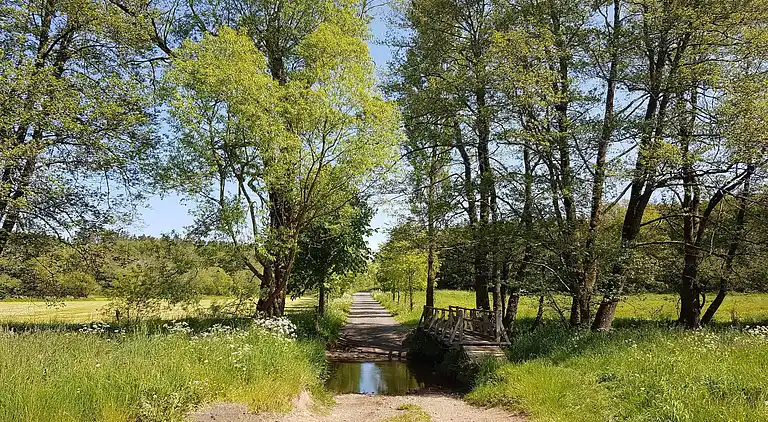 Holiday home in Manderfeld