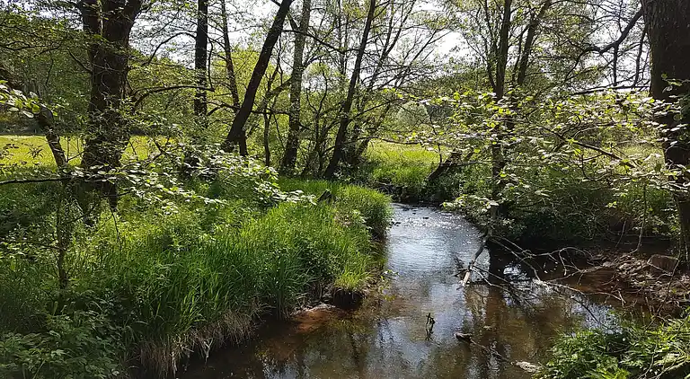 Holiday home in Manderfeld