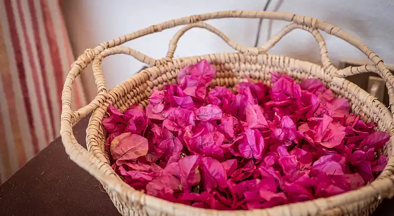 Apartment in Geremeas