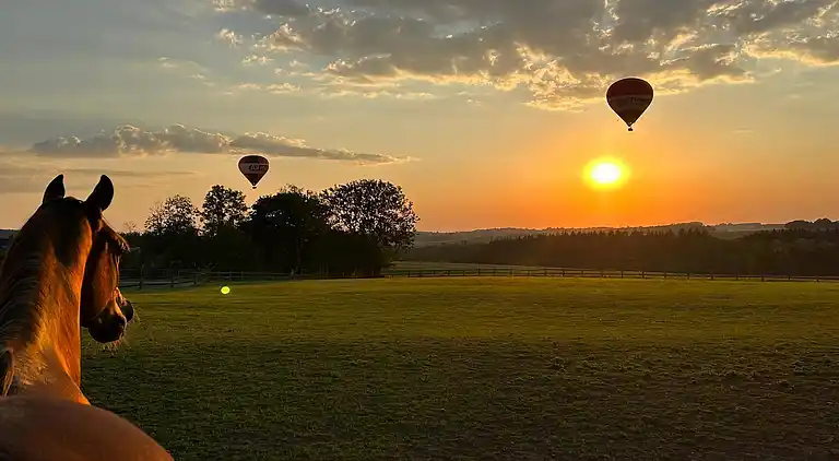 Farm house in Ouffet