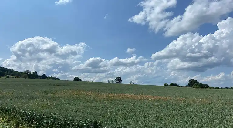 Sommerhus i Lierneux