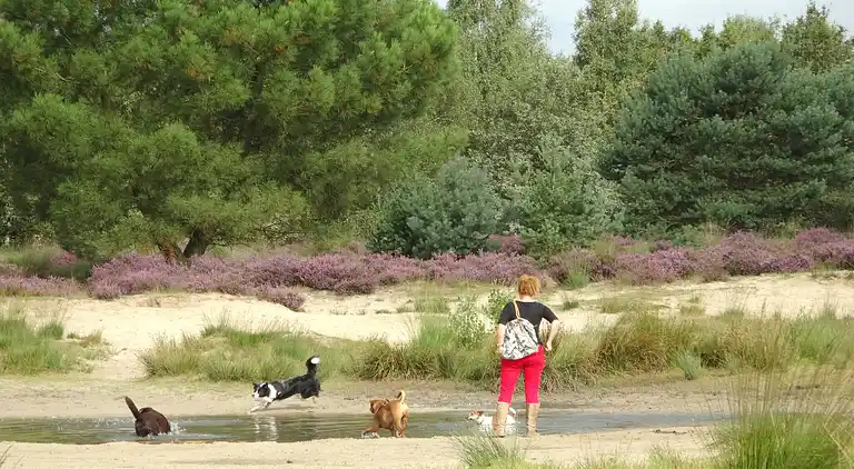 Landhaus in Udenhout