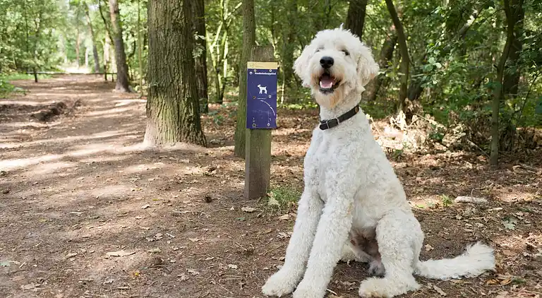 Landhaus in Udenhout