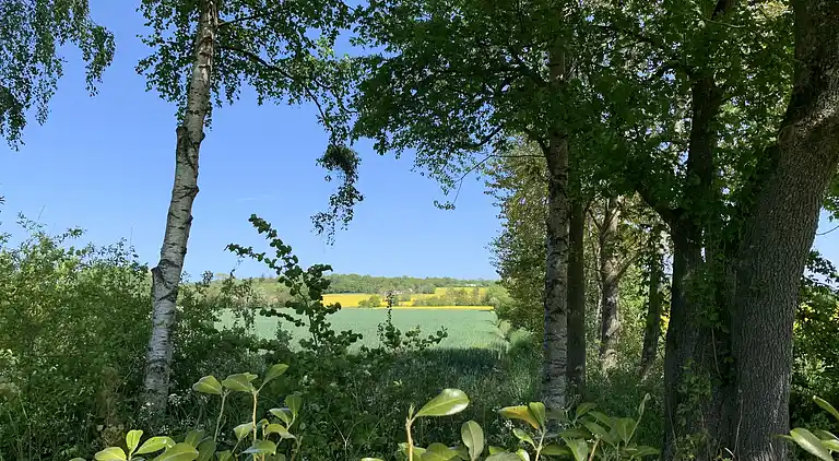 Idyllisk landsted på solskinsøen