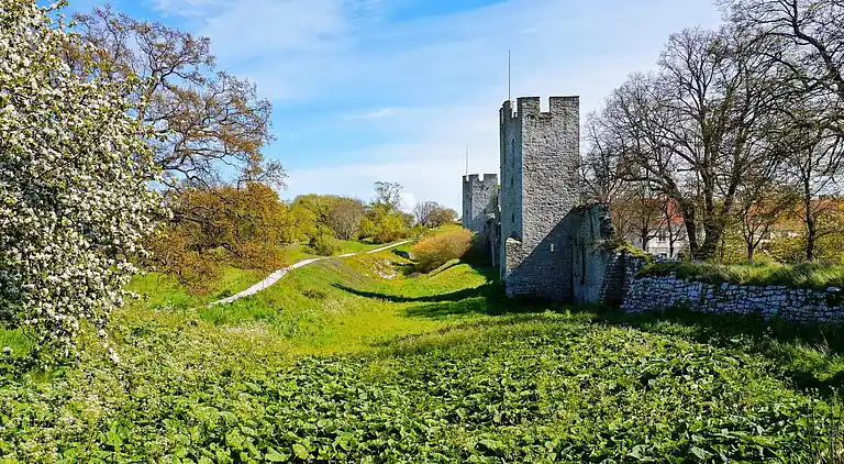Ferienhaus in Bingeby-Österby