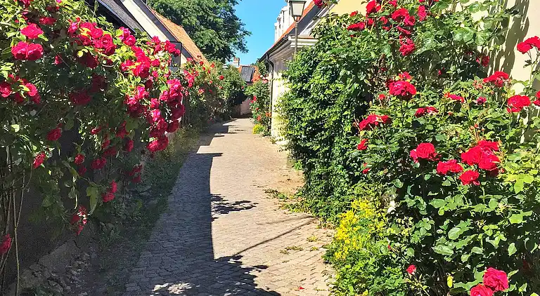 Ferienhaus in Bingeby-Österby