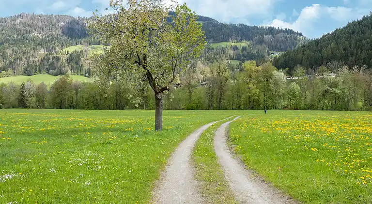 Ferielejlighed i Kirchbichl