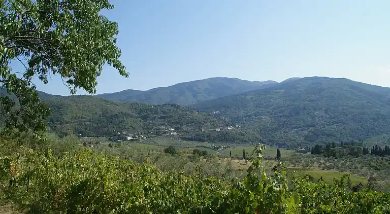 Holiday home in Pelago