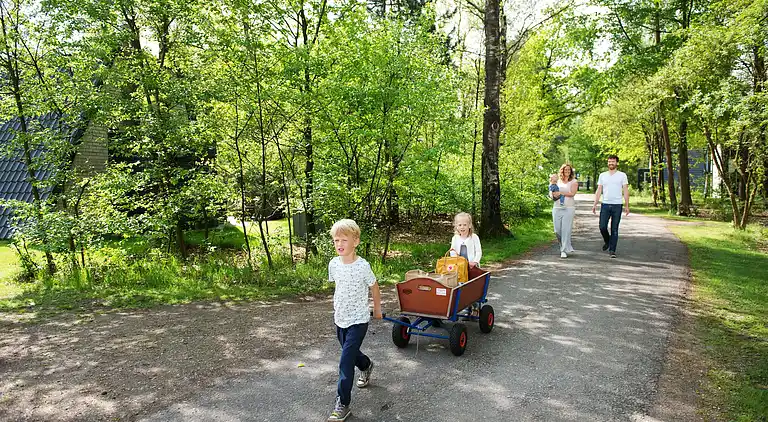 Sommerhus i Hoenderloo