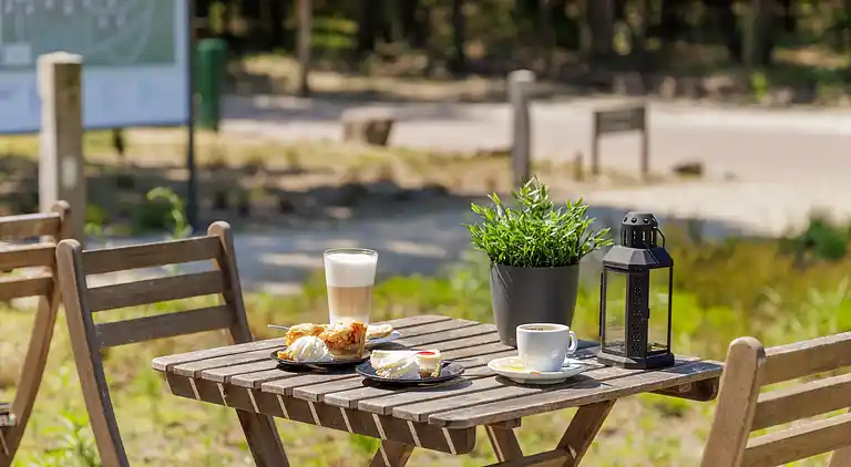 Bungalow i Hoenderloo