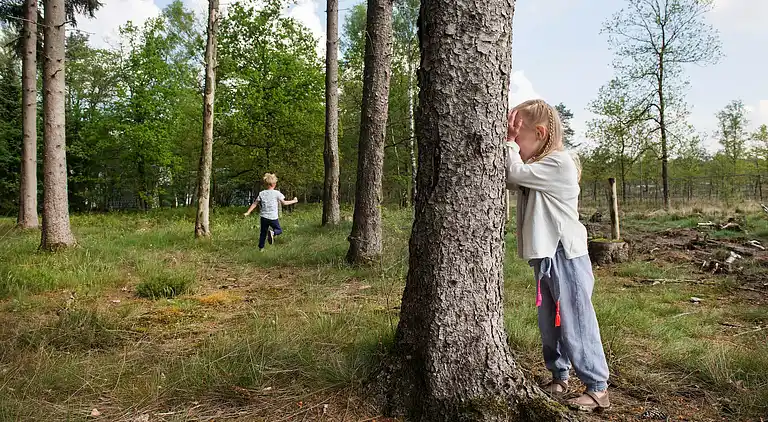 Sommerhus i Hoenderloo