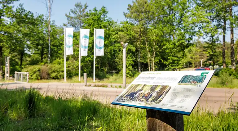 Sommerhus i Hoenderloo