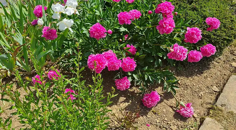 Holiday home in Magny