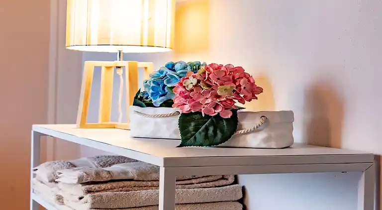 Hytte i Massa e Cozzile