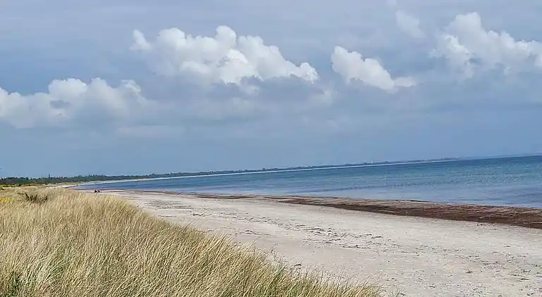 Charmerende sommerhus i Marielyst lyst tæt på strand & skov