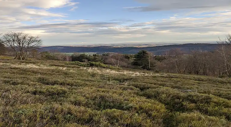 Ferienwohnung in Wissinghausen