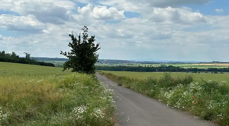 Holiday home in Ermsleben