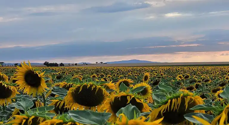 Holiday home in Ermsleben