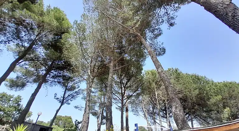 Bed & Breakfast en Nicolosi