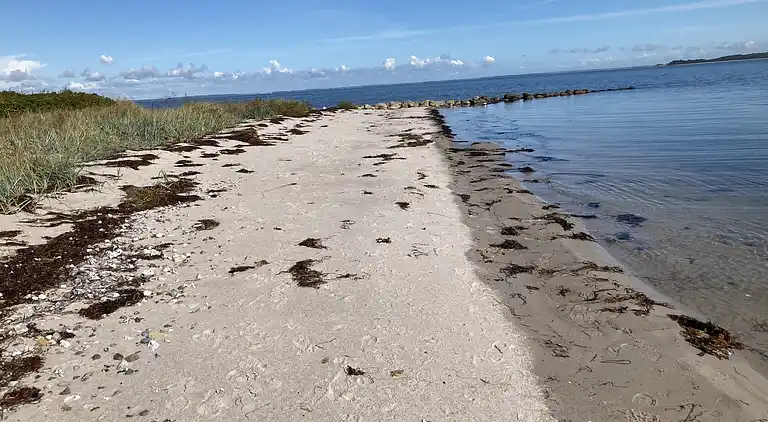 Ferienhaus in 1. Reihe zum schönen Strand