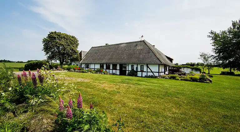 Idyllisk bindingsværksgård 600m fra Lillebælt