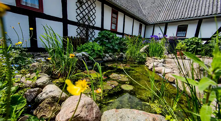 Idyllisk bindingsværksgård 600m fra Lillebælt