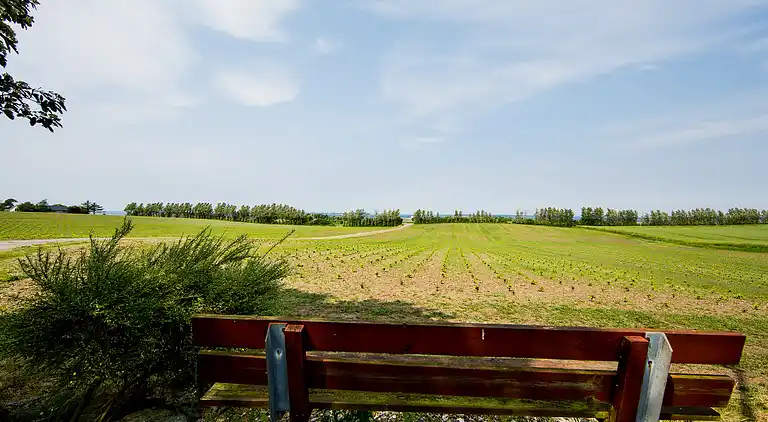 Idyllisk bindingsværksgård 600m fra Lillebælt