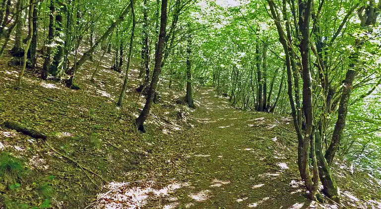 Semesterbostad i Pistoia