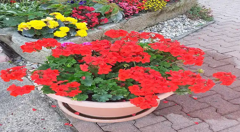 Apartment in Lichtenhain