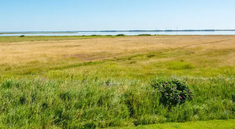 Feriebolig i Ulfborg