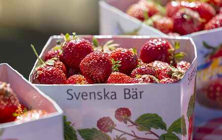 Sommerhus i Kils