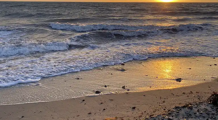 Gemütliches Ferienhaus in ruhiger Lage nahe dem Strand