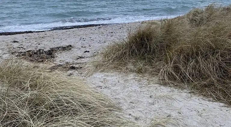 Gemütliches Ferienhaus in ruhiger Lage nahe dem Strand
