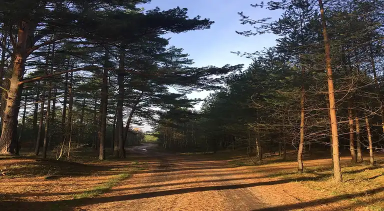 Sommerhus i Kopalino