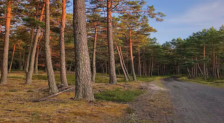 Sommerhus i Kopalino