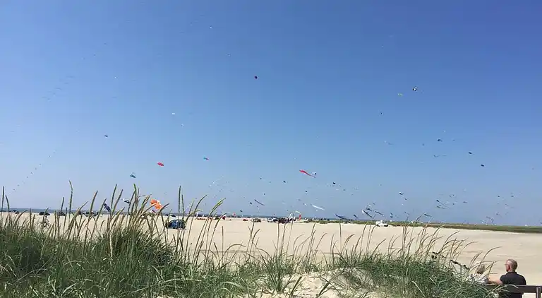 Malerisches Ferienhaus auf Fanø am meer