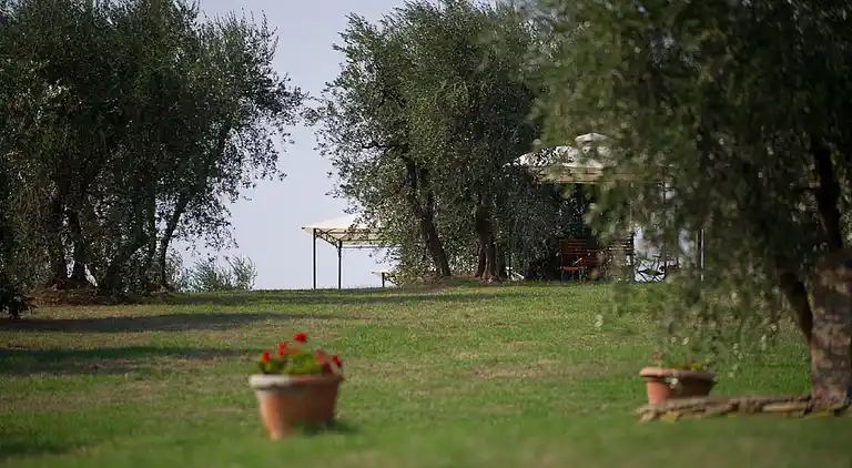 Feriebolig i Capraia e Limite