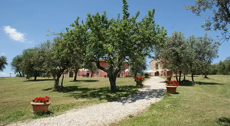 Feriebolig i Capraia e Limite