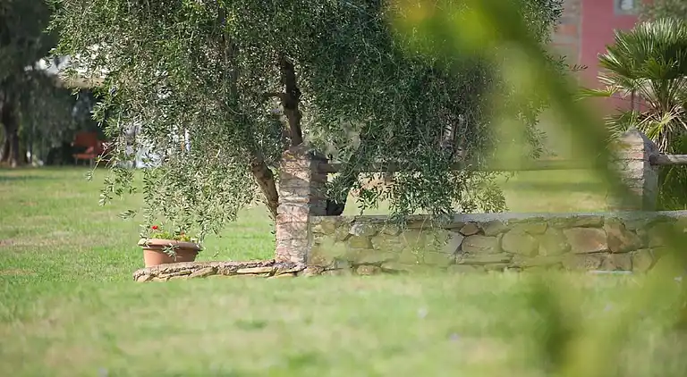 Feriebolig i Capraia e Limite