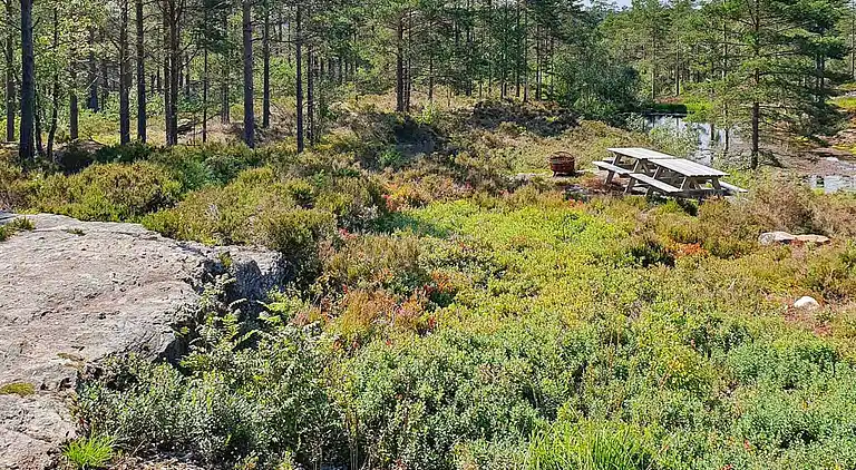 Holiday home in Halden Municipality