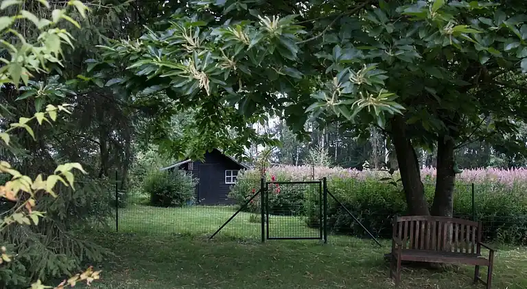 Sommerhus i Froidchapelle