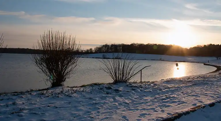 Sommerhus i Froidchapelle
