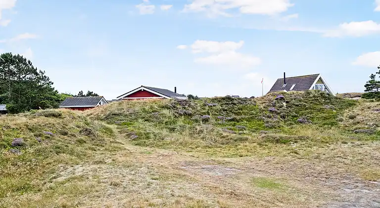 Malerisches Ferienhaus auf Fanø am meer