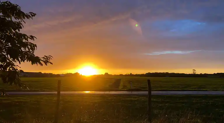 Lyxigt sommarhus på vacker skogsmark