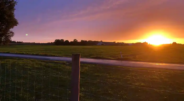 Lyxigt sommarhus på vacker skogsmark