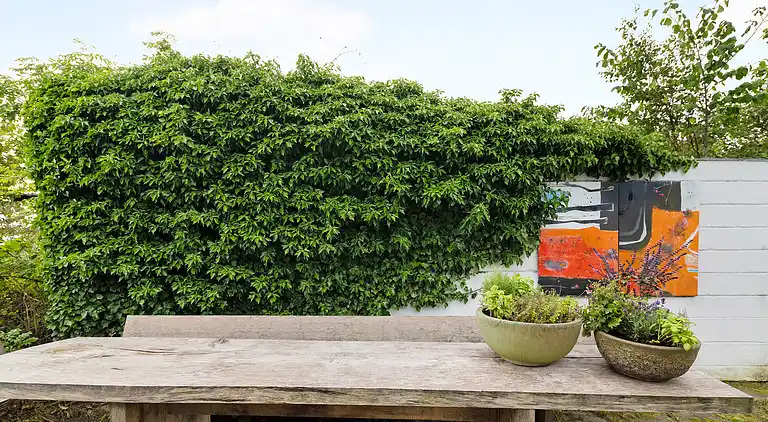 Fantastisches Ferienhaus mit Meerblick