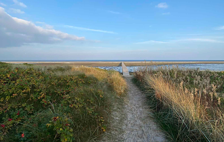 Lyst sommerhus 300 meter fra stranden